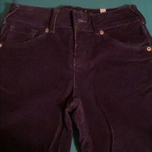 Brand New Girls Navy Cord's